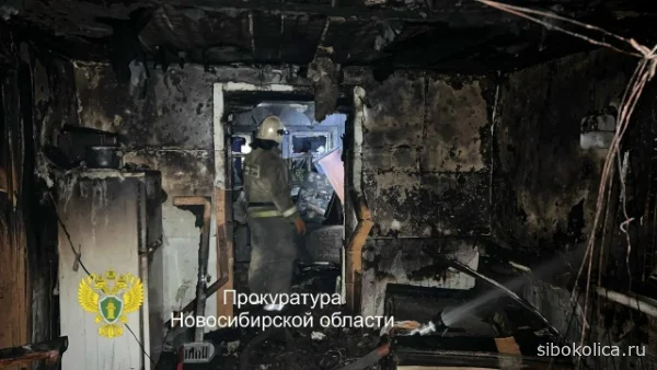 В Татарске будут судить мать погибших на пожаре детей