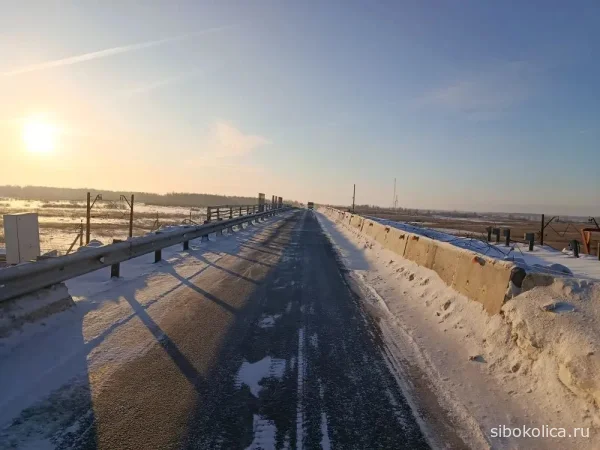 В Татарске продолжается ремонт путепровода через Транссиб