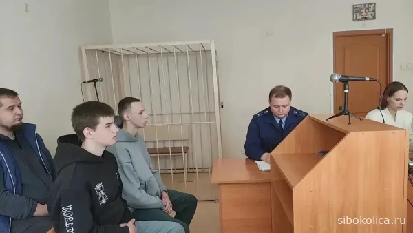 В Татарске суд отправил за решетку двух молодых людей за угон «Жигулей»