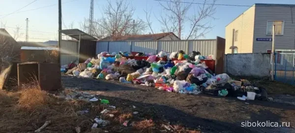 Жителям Татарского округа вернут по пять рублей за невывезенный мусор
